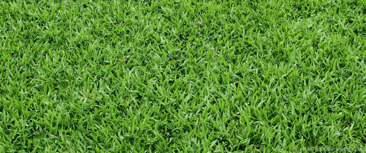 Фон бесшовный трава искусственная