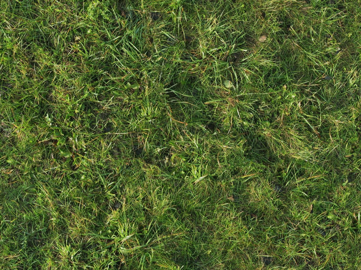 Трава для генплана