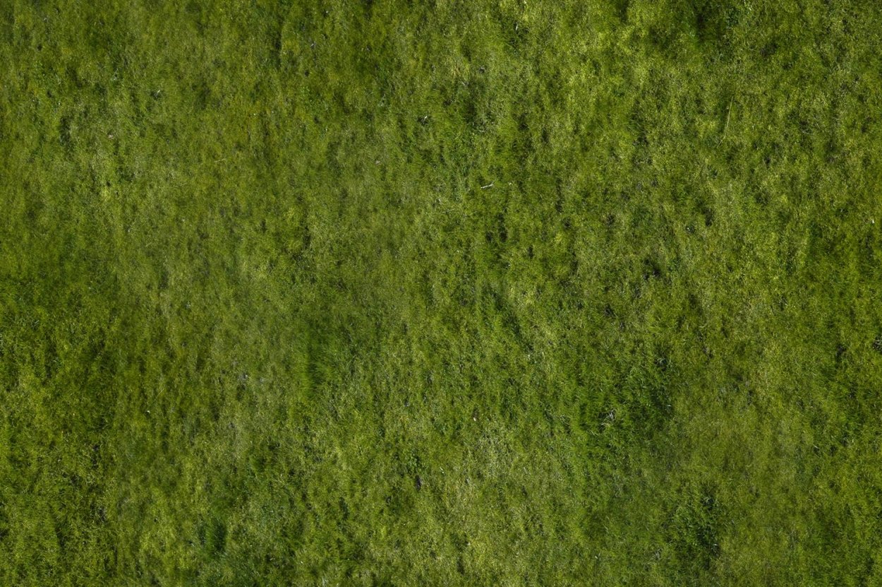 Текстура трава архикад