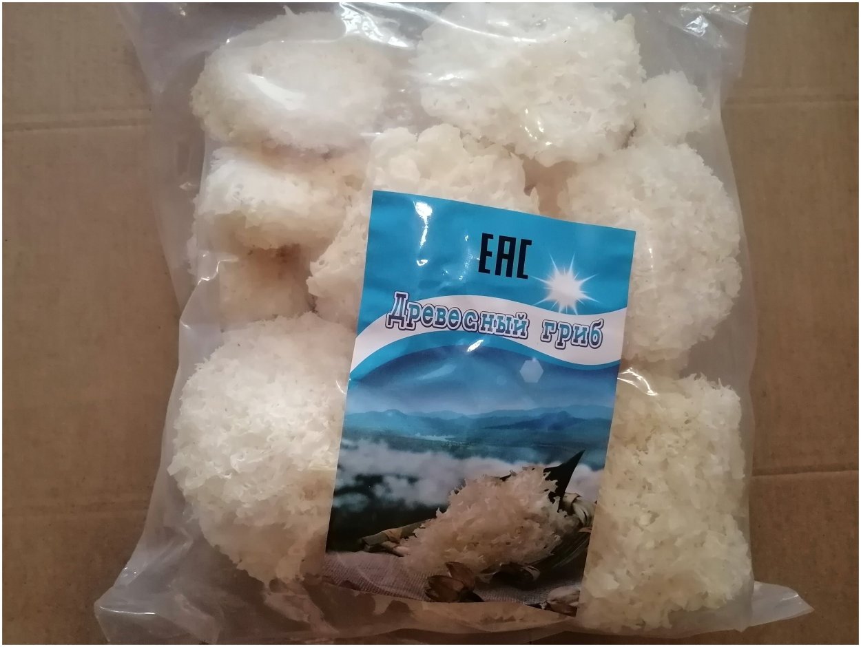 Коралловидные грибы белые
