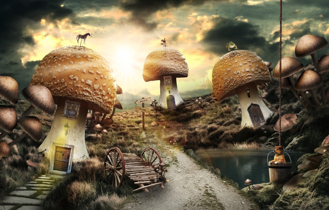 Фантастические грибы