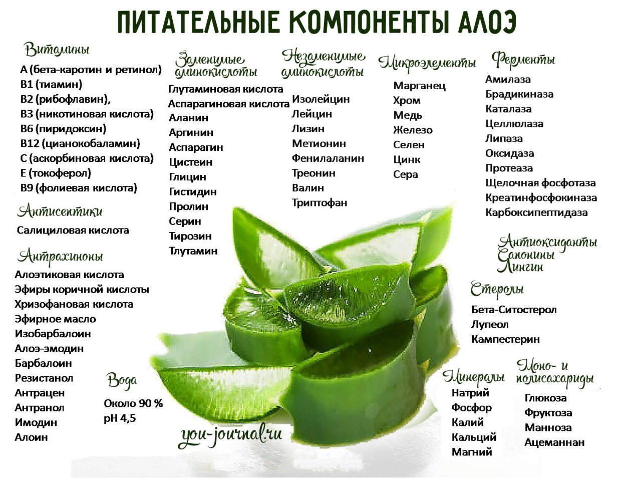 LP алоэ Вера