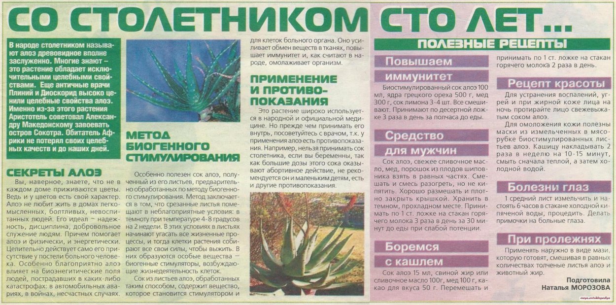 Лекарство из алоэ