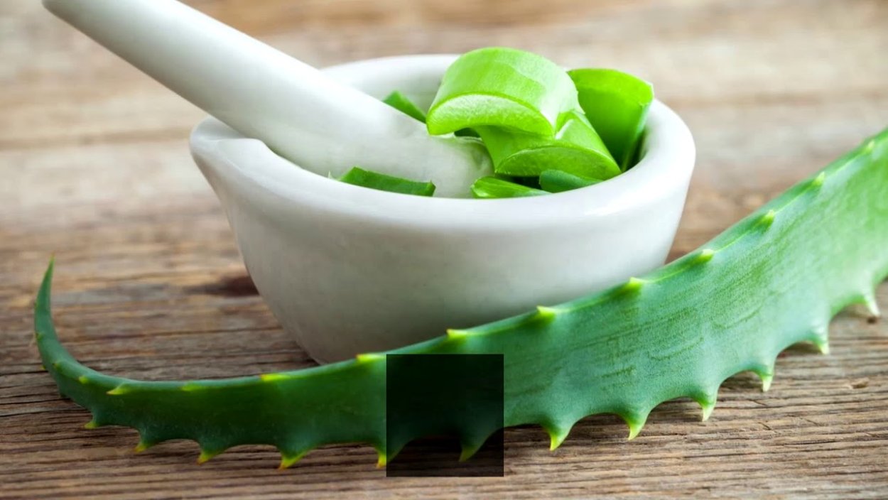 Aloe Vera Comfort 119х60х12