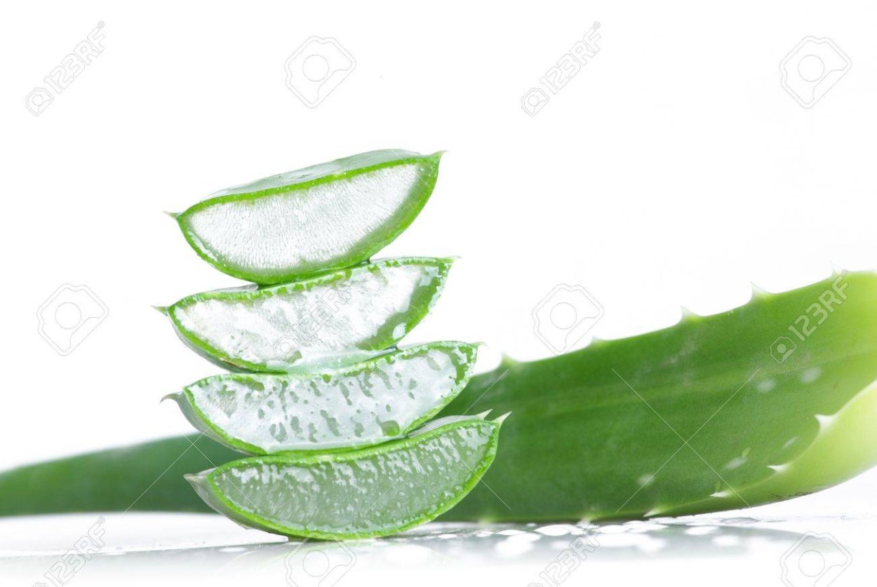 Логотип Форевер Forever the Aloe Vera Company алоэ Вера