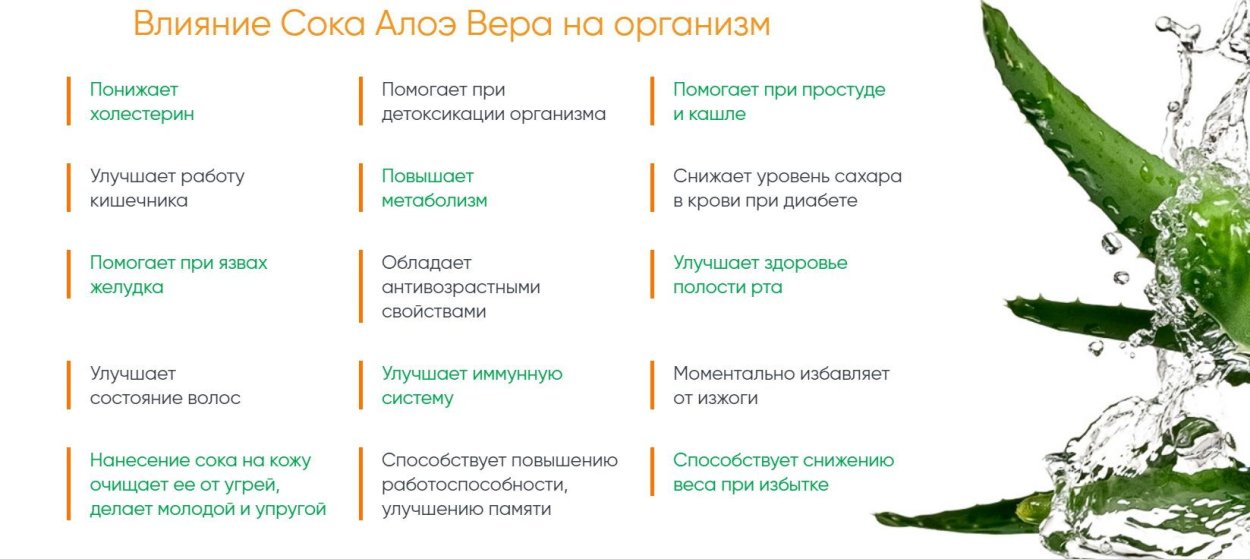 Алоэ Вера Besta
