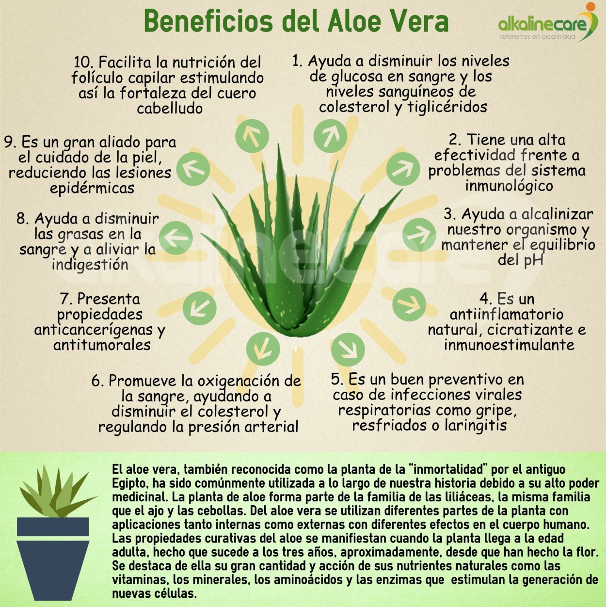 Aloe Vera with24