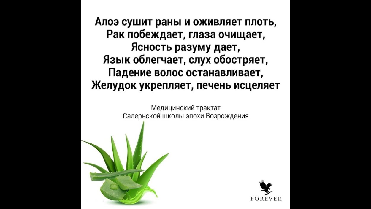 Aloe alooides