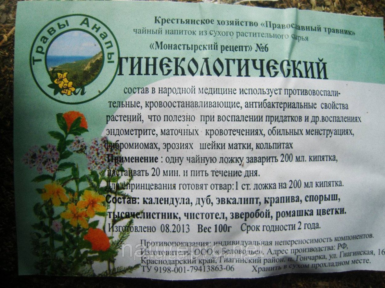 Трава вектор