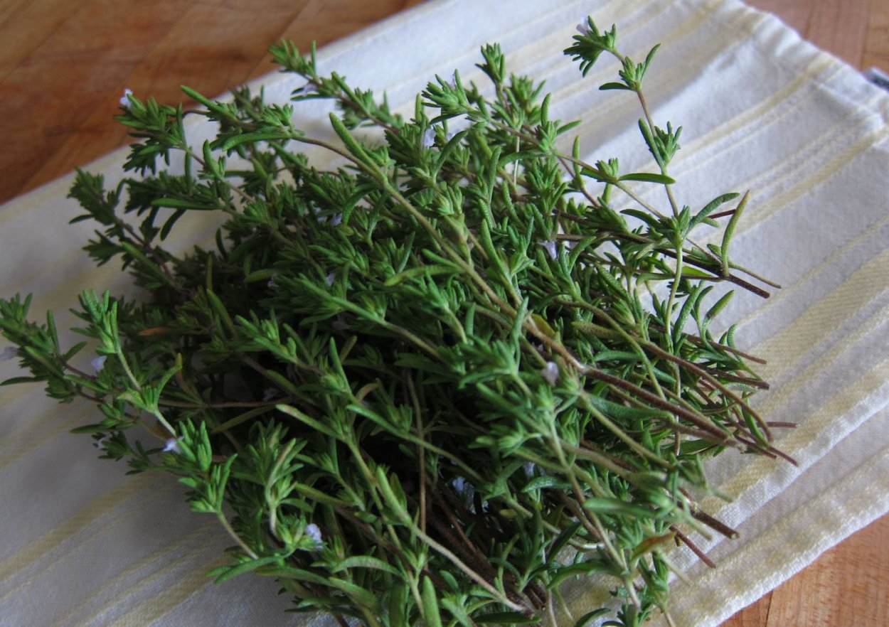 Чабер (кондари)