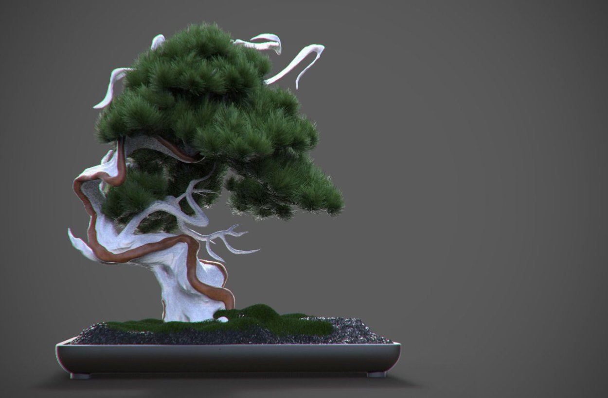 Бонсай 3d модель