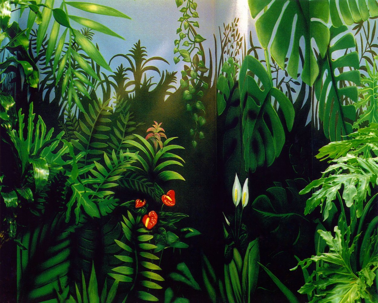 Джунгли Пинтерест