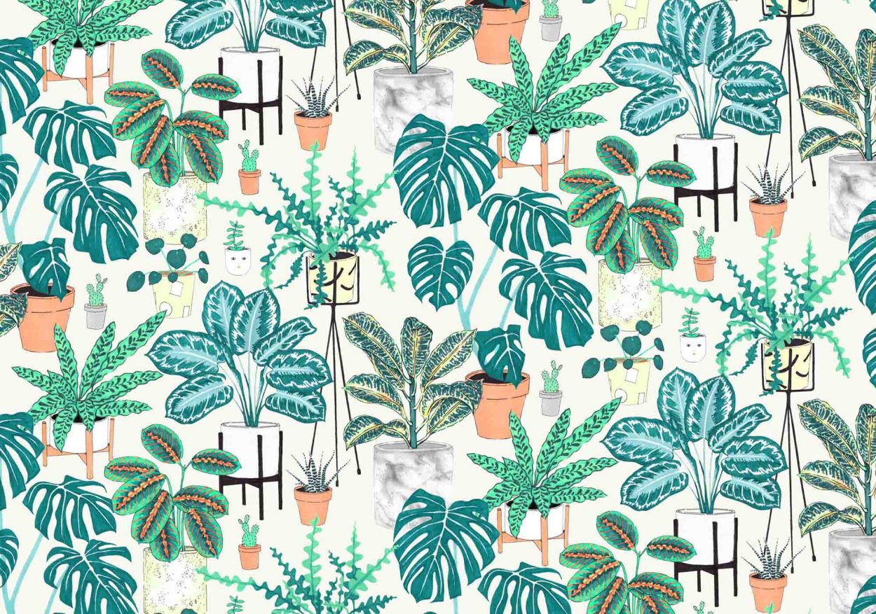 Комнатные растения паттерн