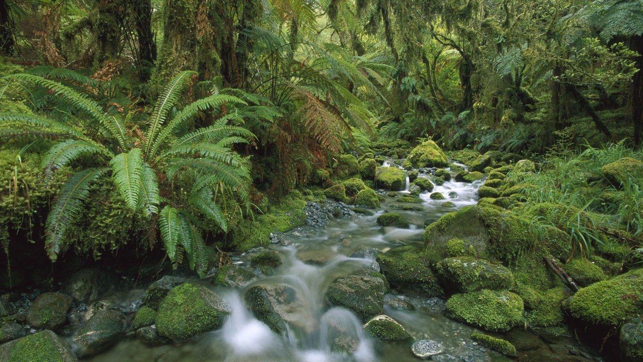 Национальный парк Фьордленд новая Зеландия