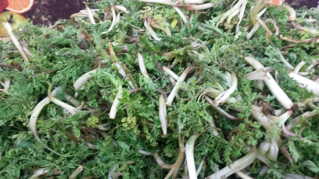 Ավելուկ трава