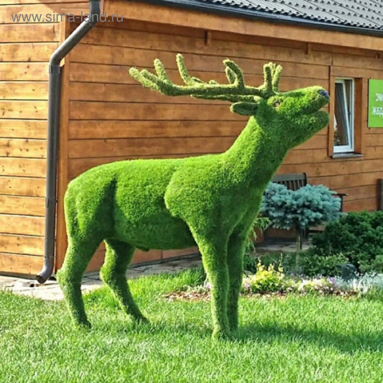 Топиарные фигуры Бачо