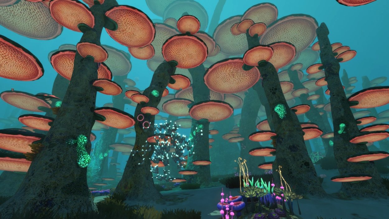 Грибной биом Subnautica
