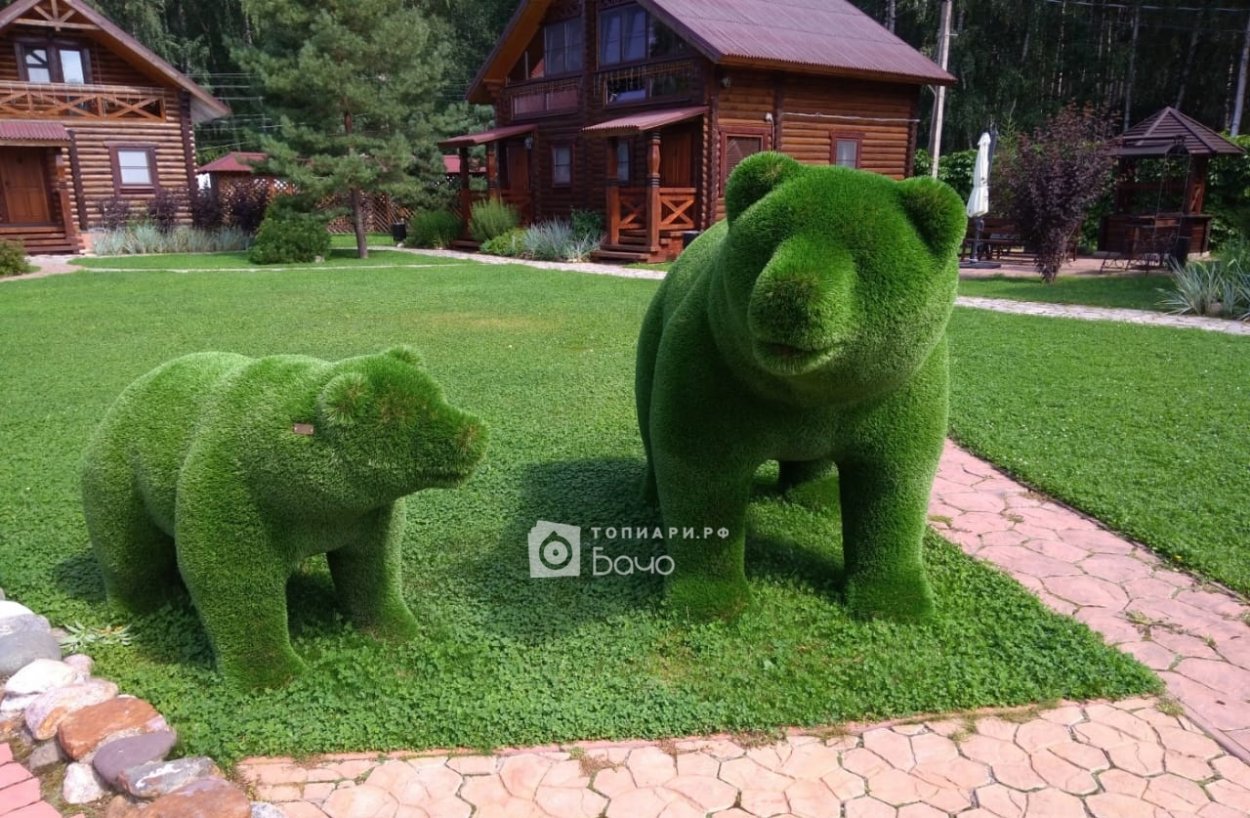 Топиарные фигуры медведи