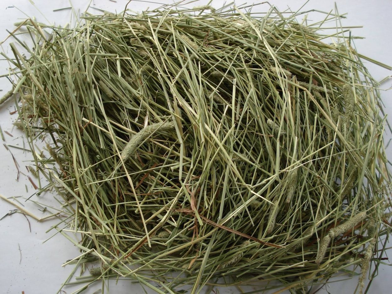Злаково бобовое сено