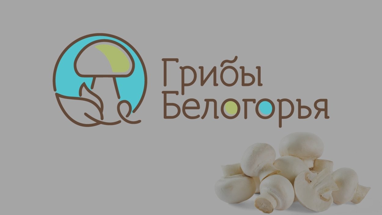 Грибы Белогорья