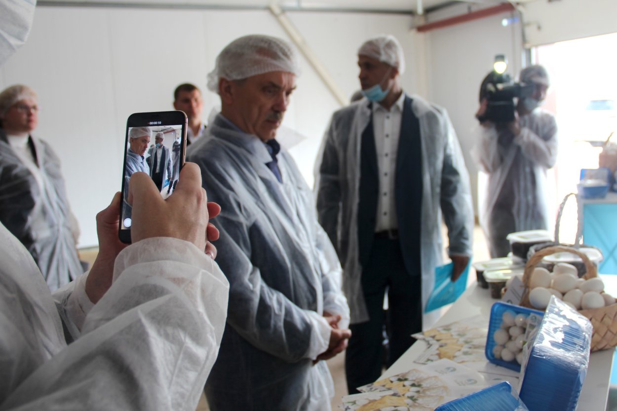 Пейзаж с грибами