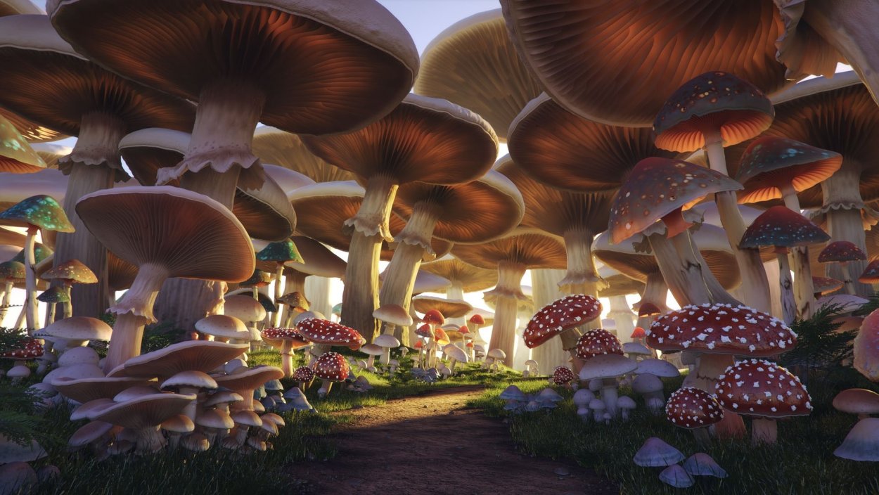 Галлюциногенные грибы Golden teacher