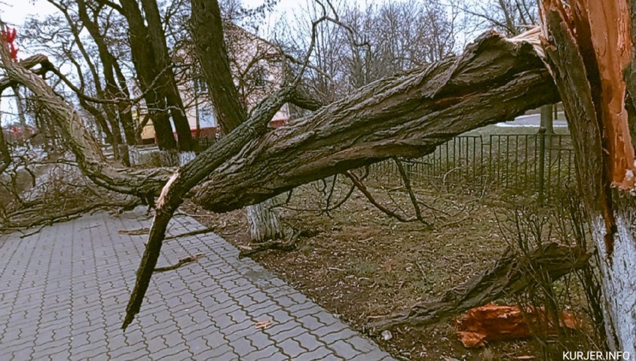 Порывы ветра