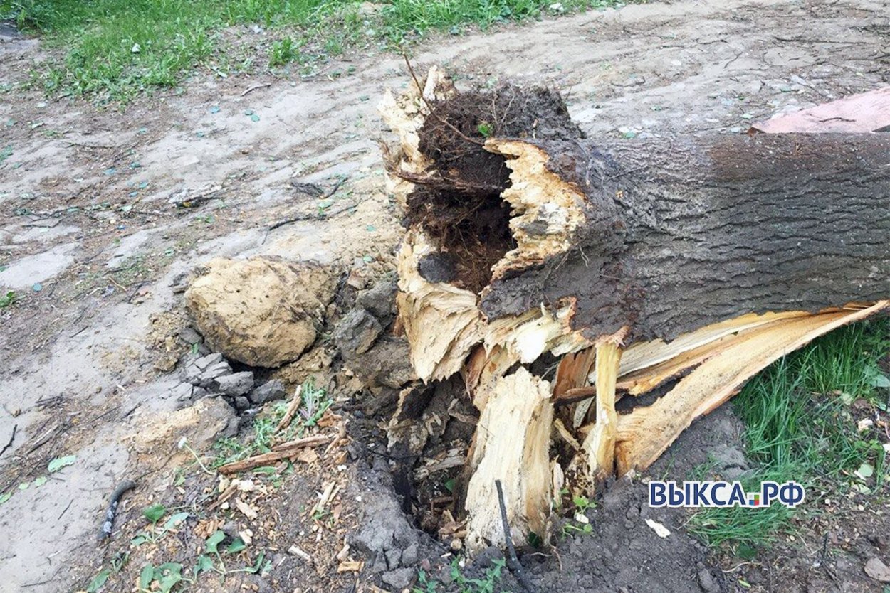Последствия урагана в Крыму