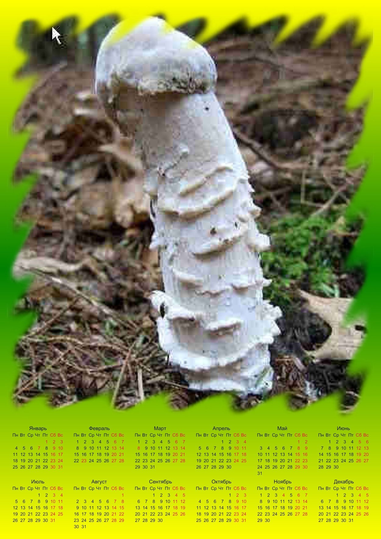 Гриб отсосиновик