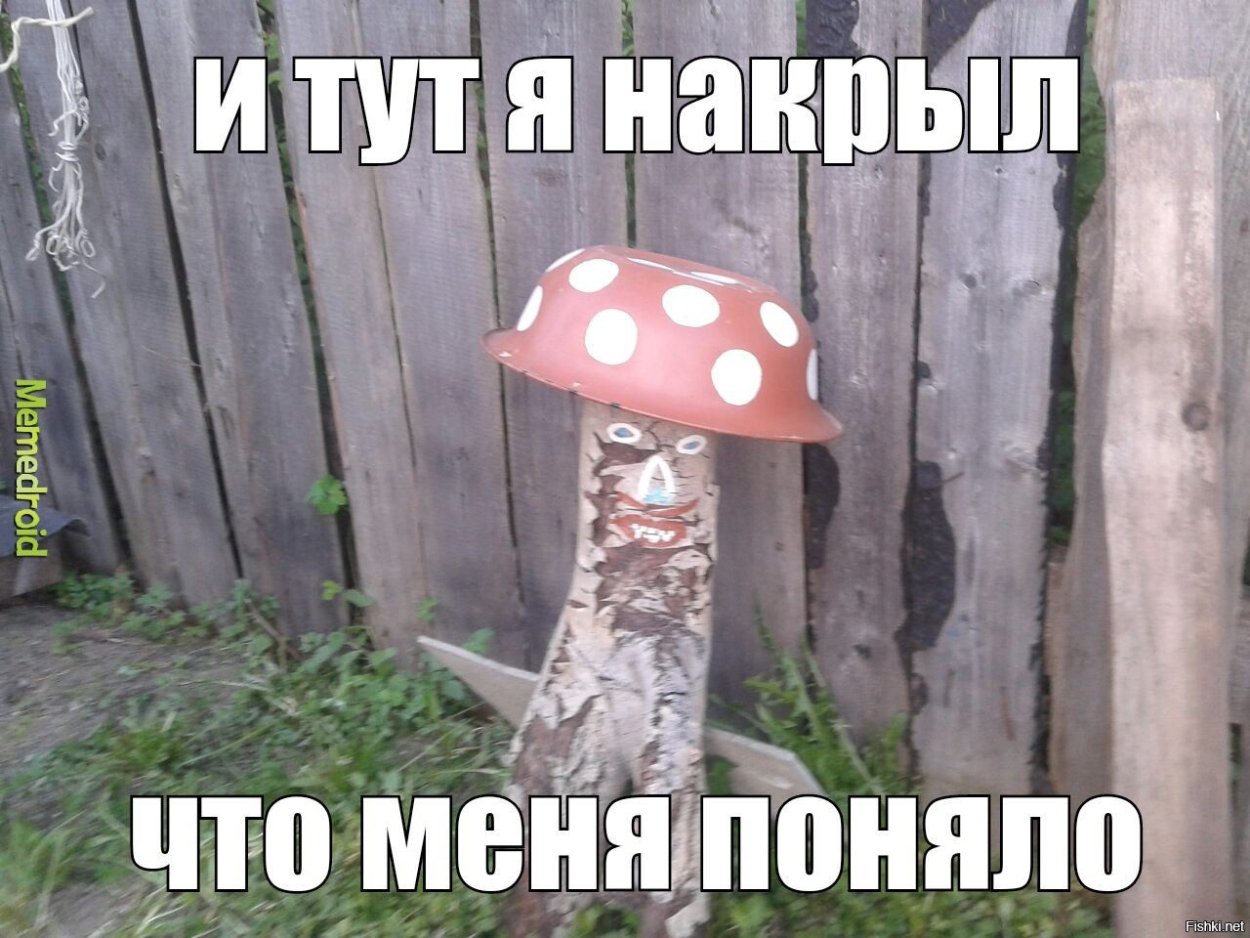 Мухомор Мем