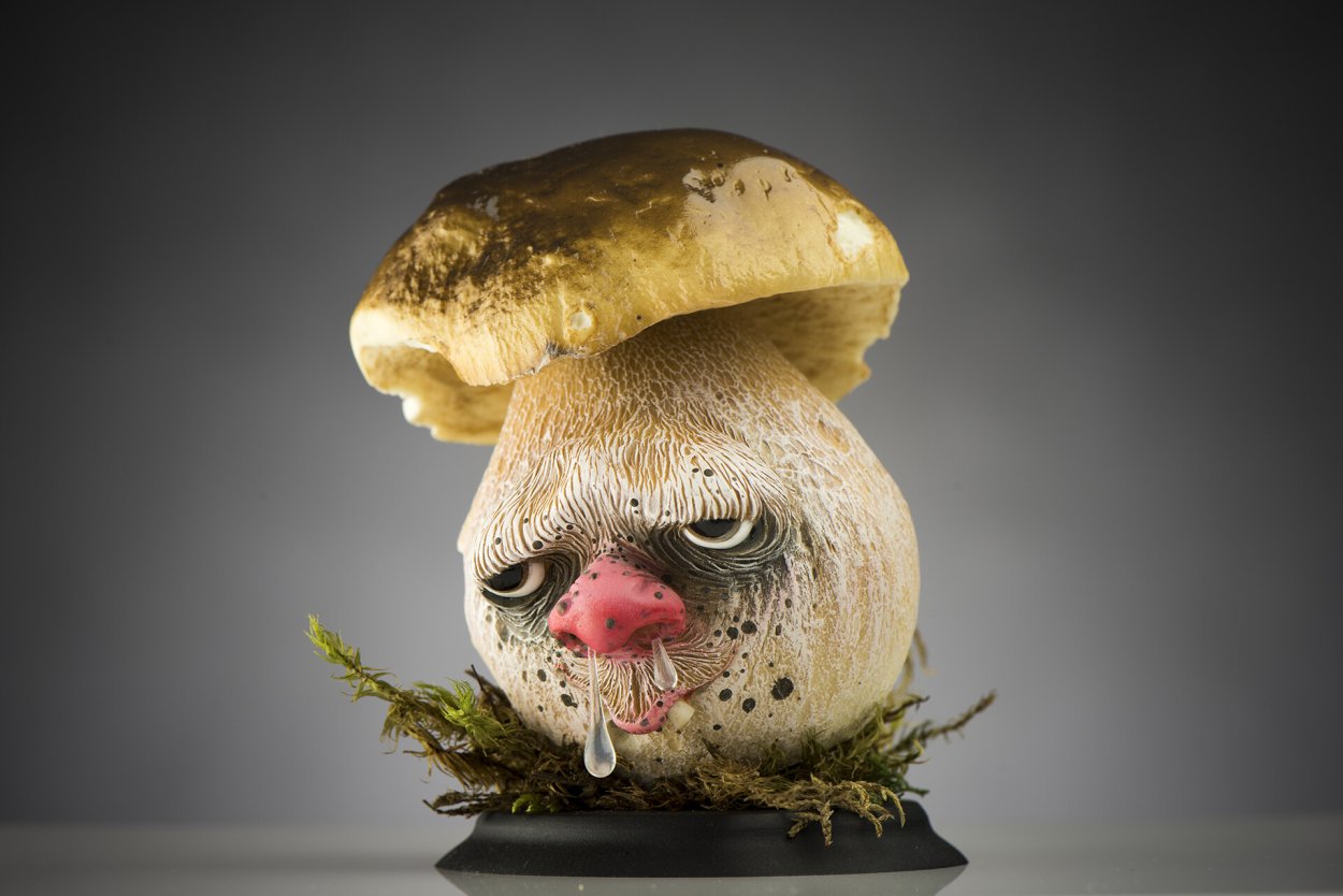 Смешные грибы