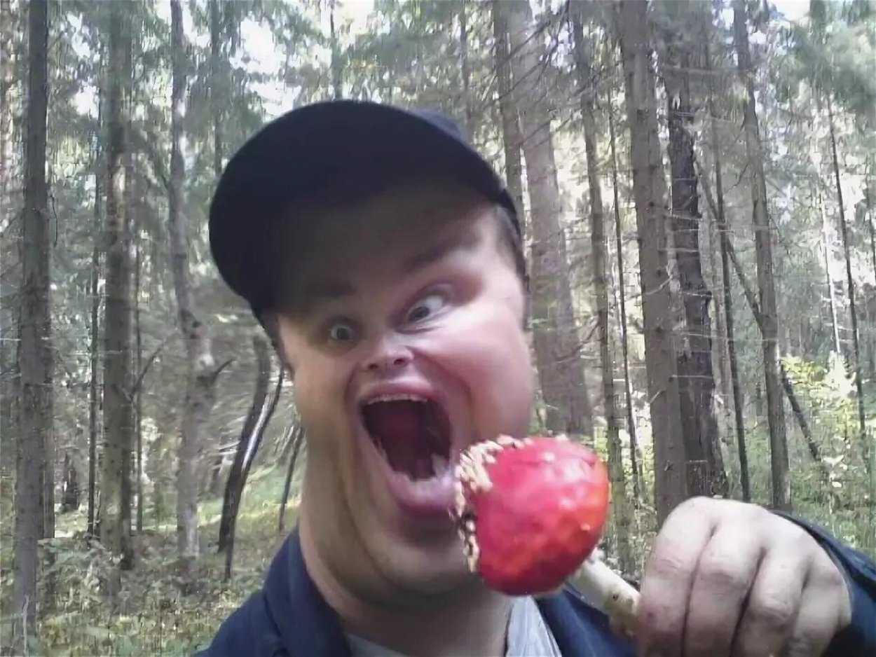 Поиск грибов