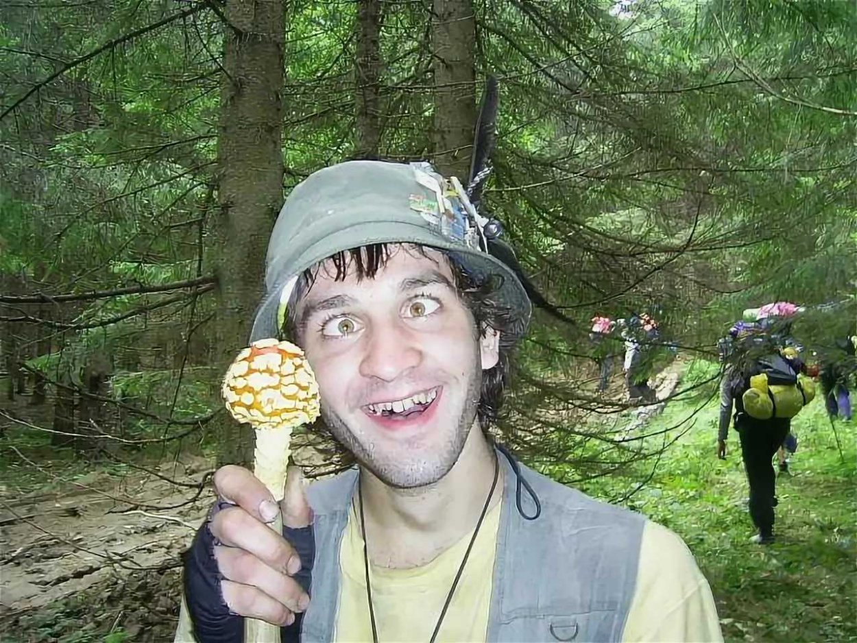 Смешные грибы