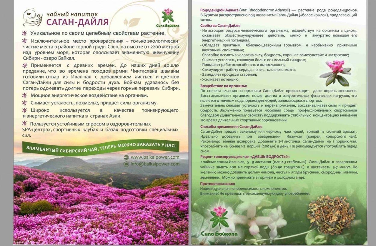 Полезный чай
