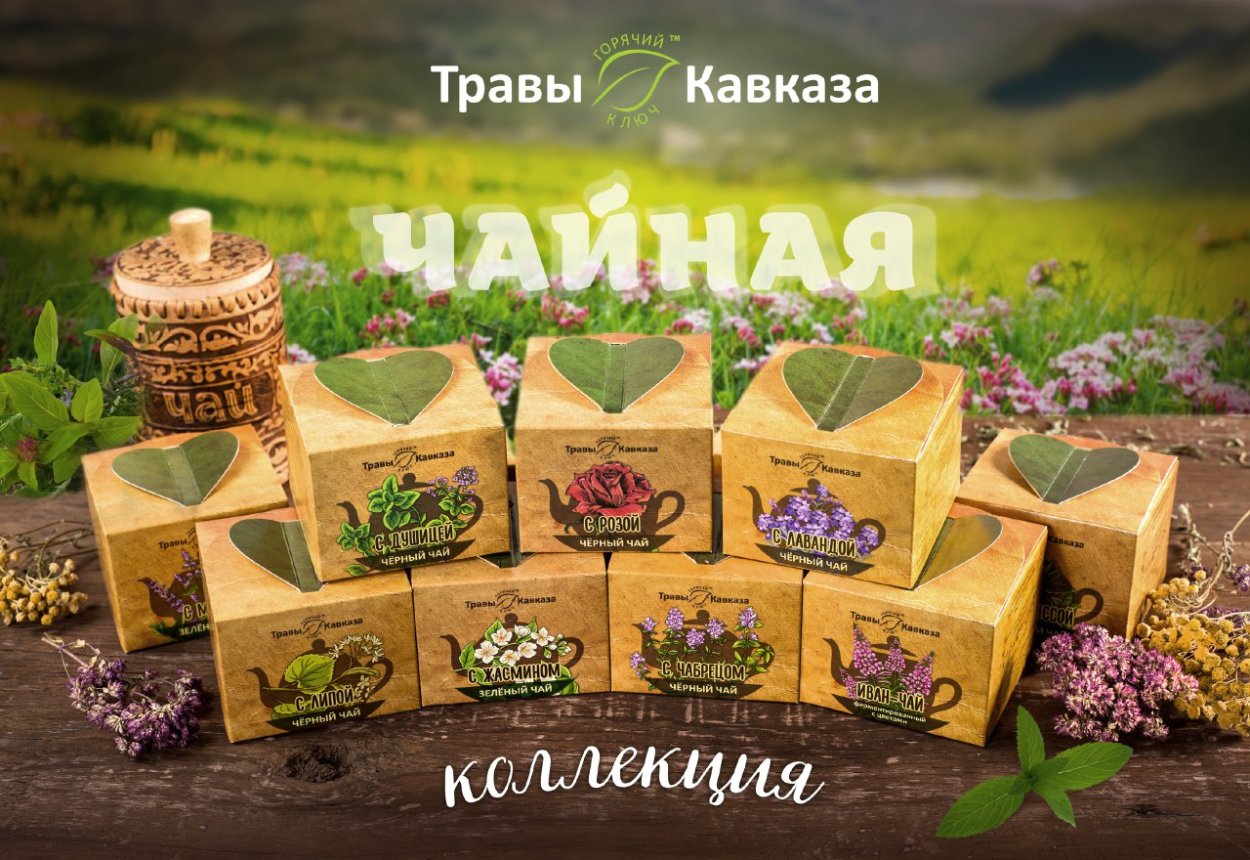 Первоцветы горный Алтай