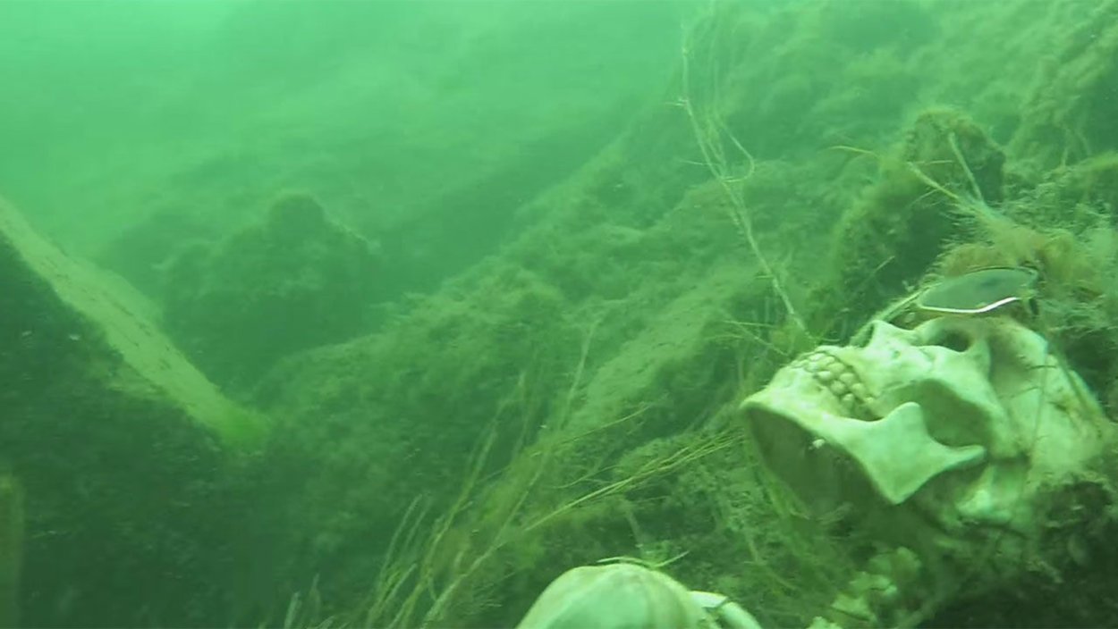 Sea grass