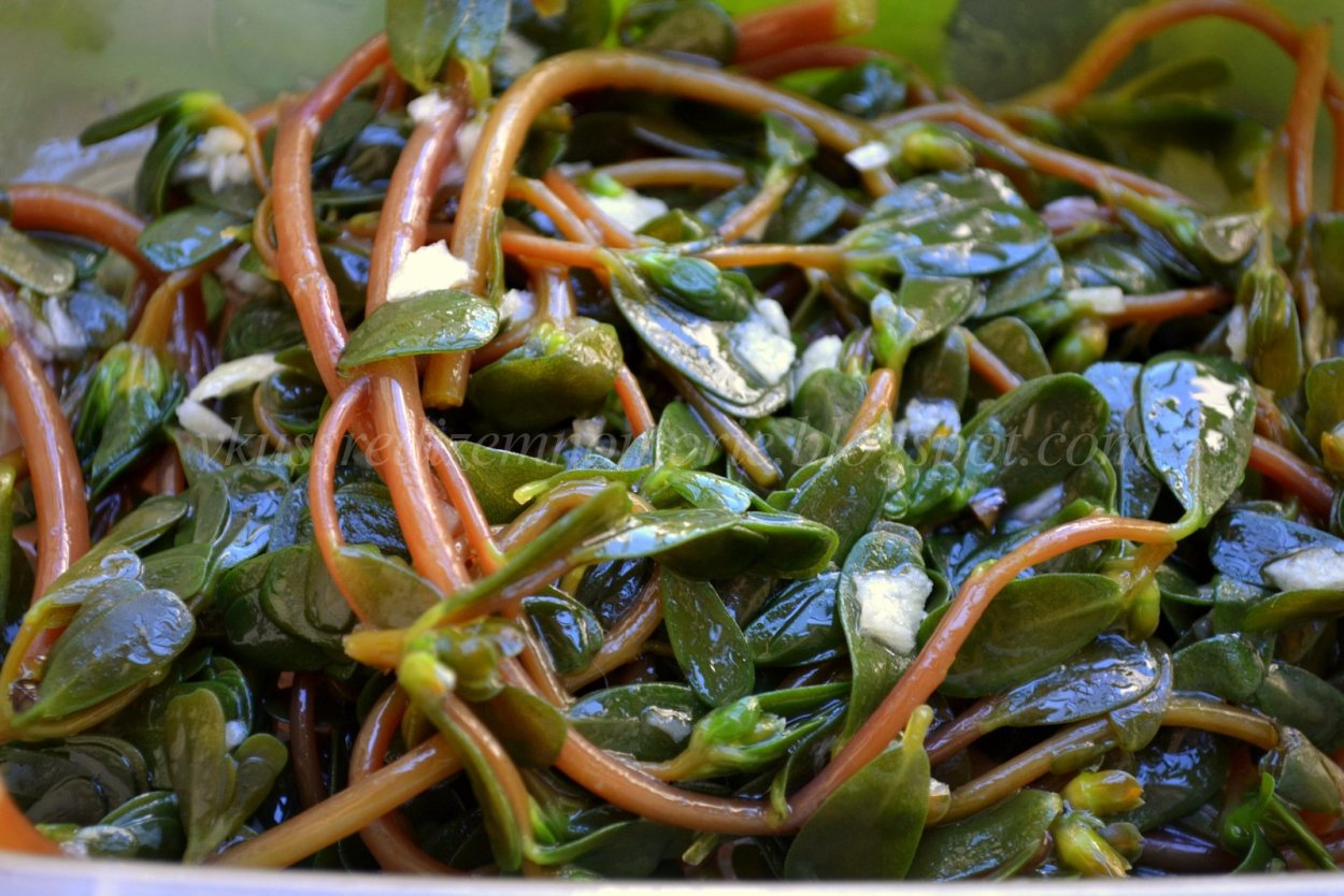 Дандур армянская трава