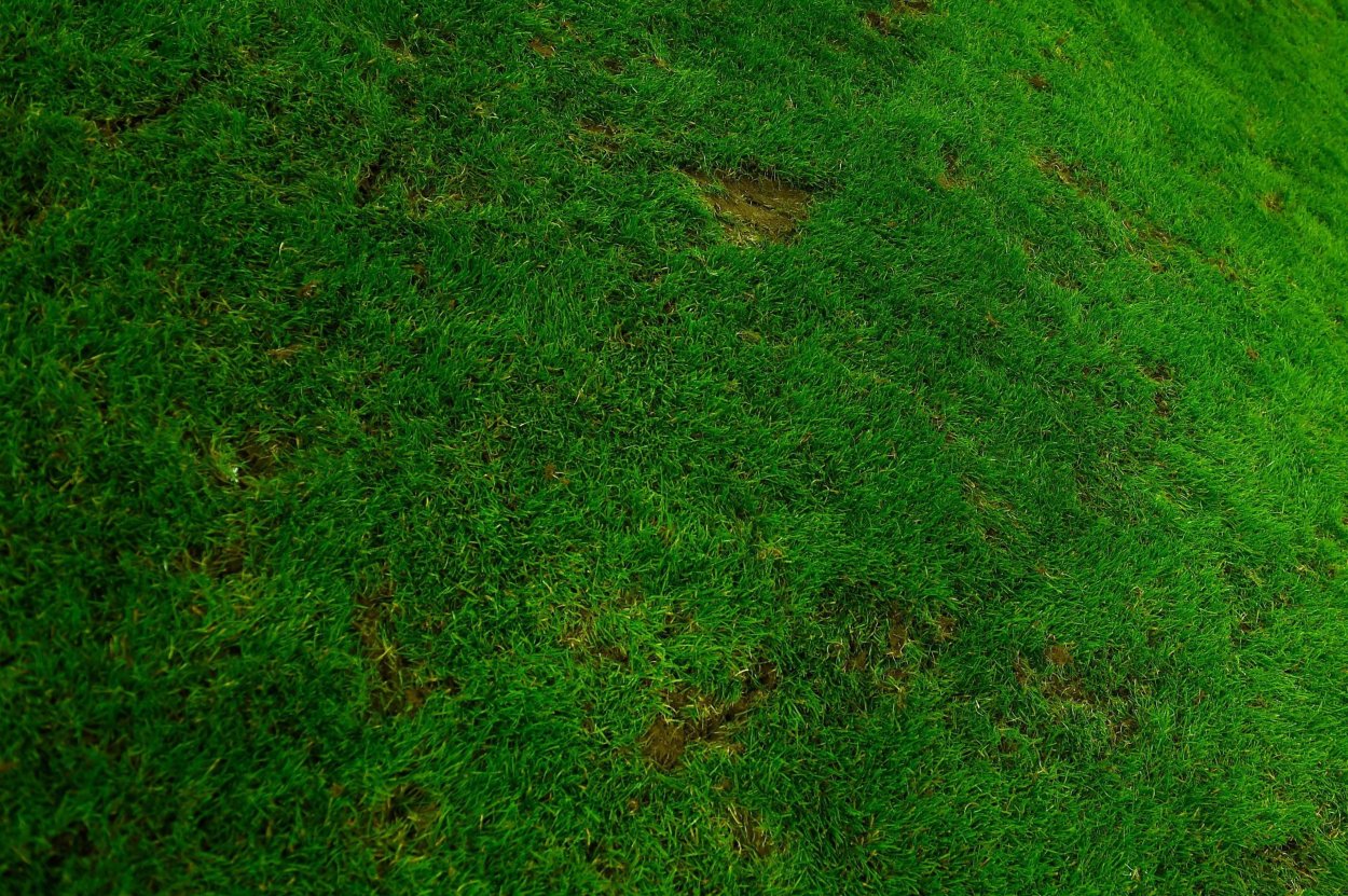 Текстура грунта бесшовная 4k