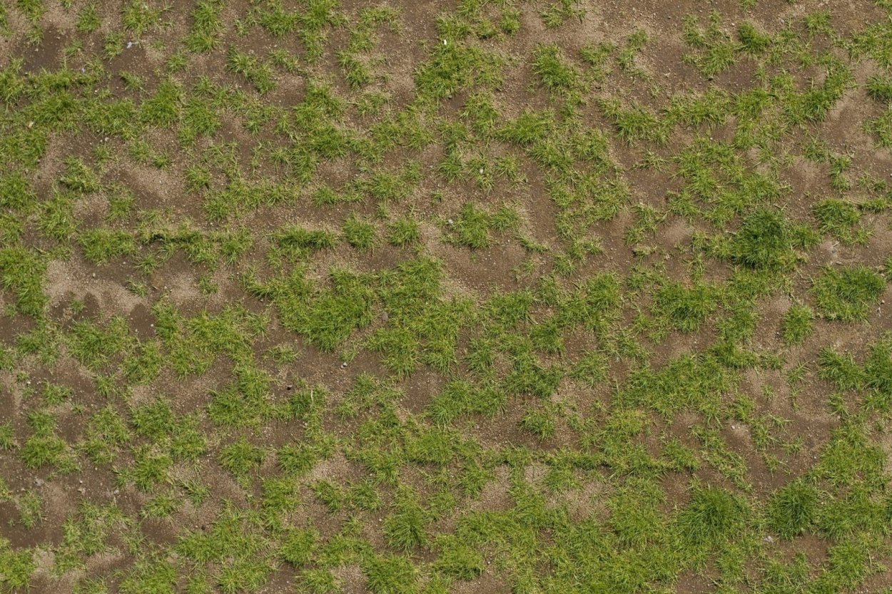 Текстура земли с травой