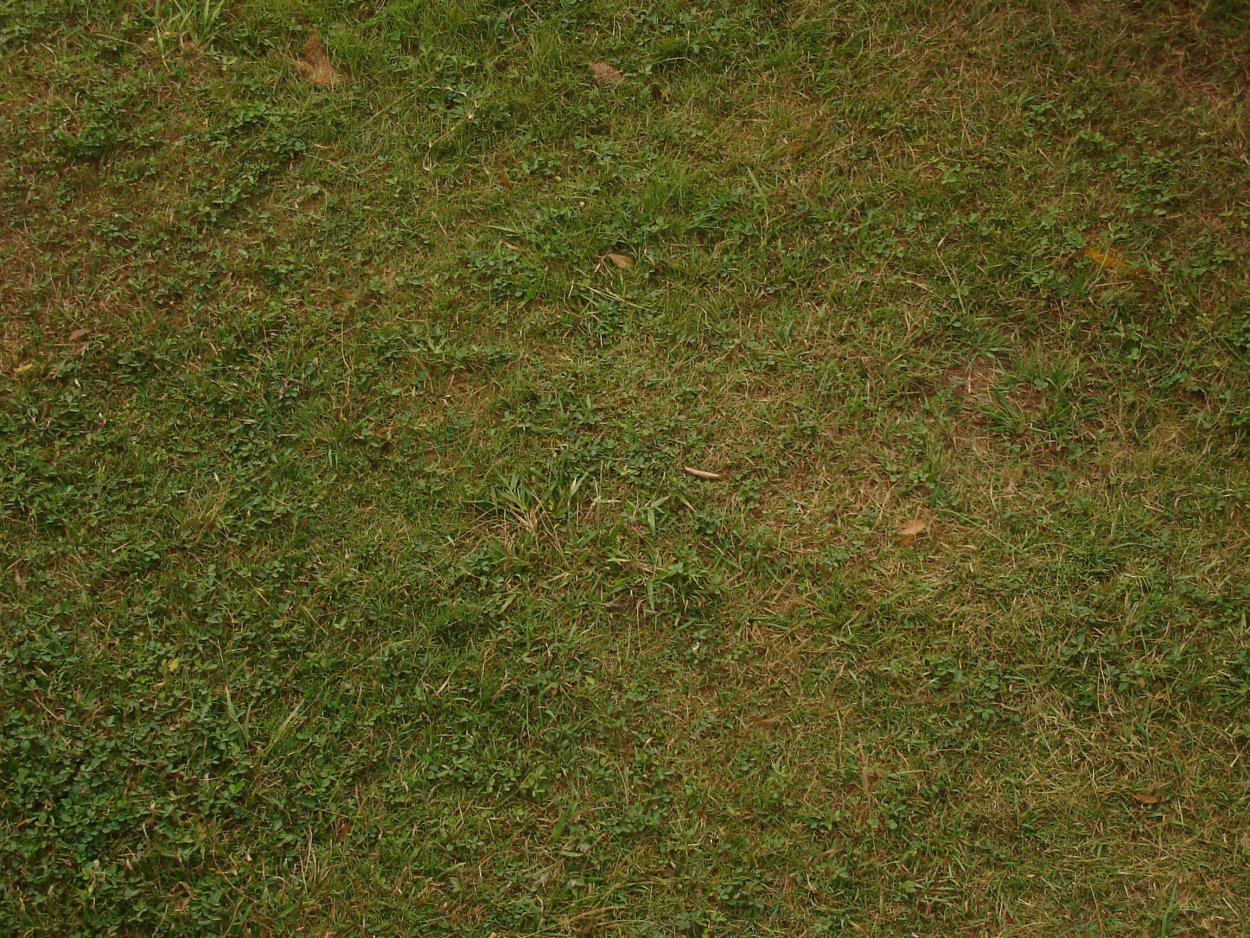 Текстура травы для Юнити