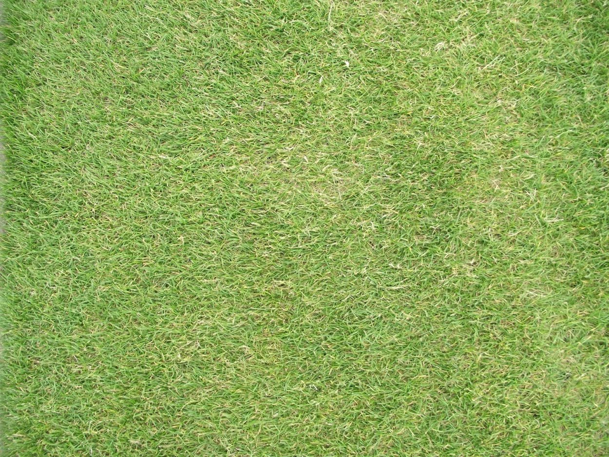 Текстура для архикад газон