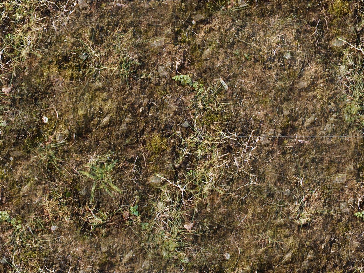 Stalker текстура земли