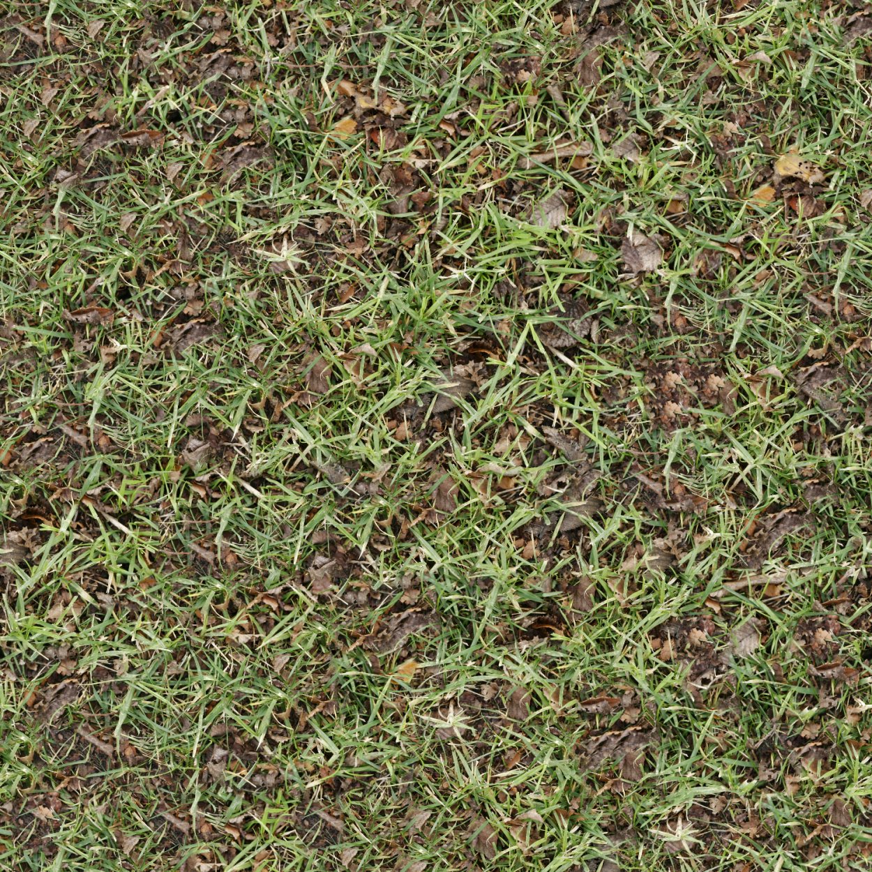 Текстура земли с травой бесшовная