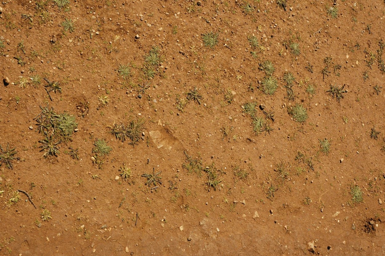 Земля текстура бесшовная для 3d Max