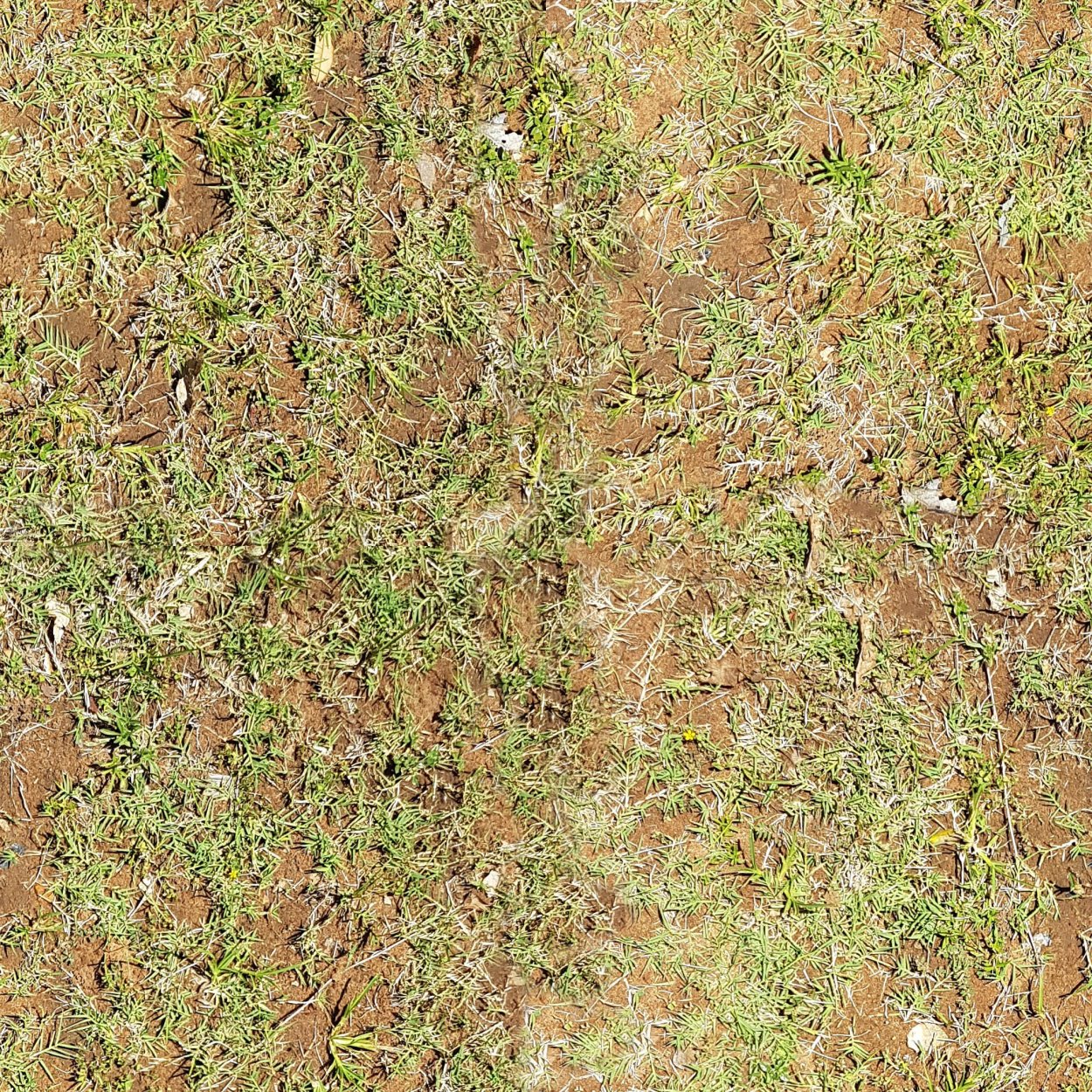 Текстура Terrain Unity