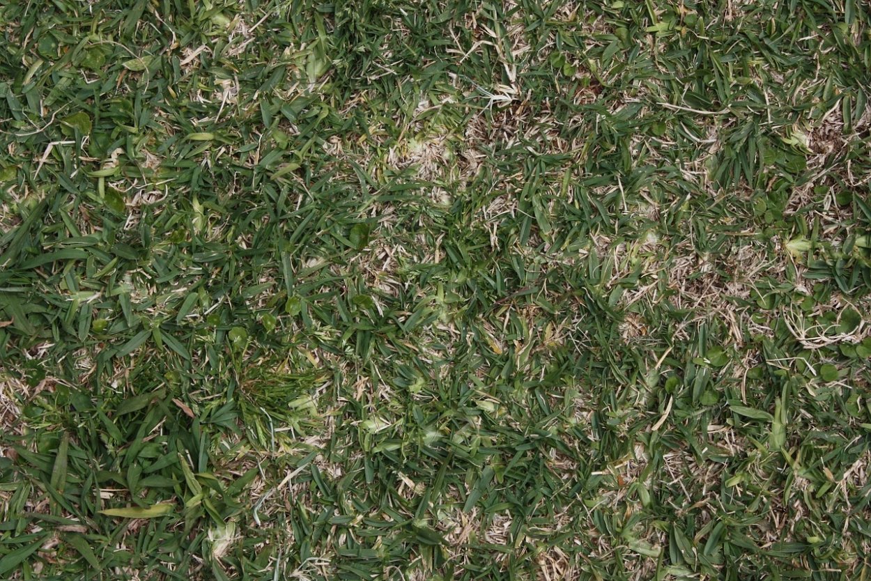 Травяной камуфляж