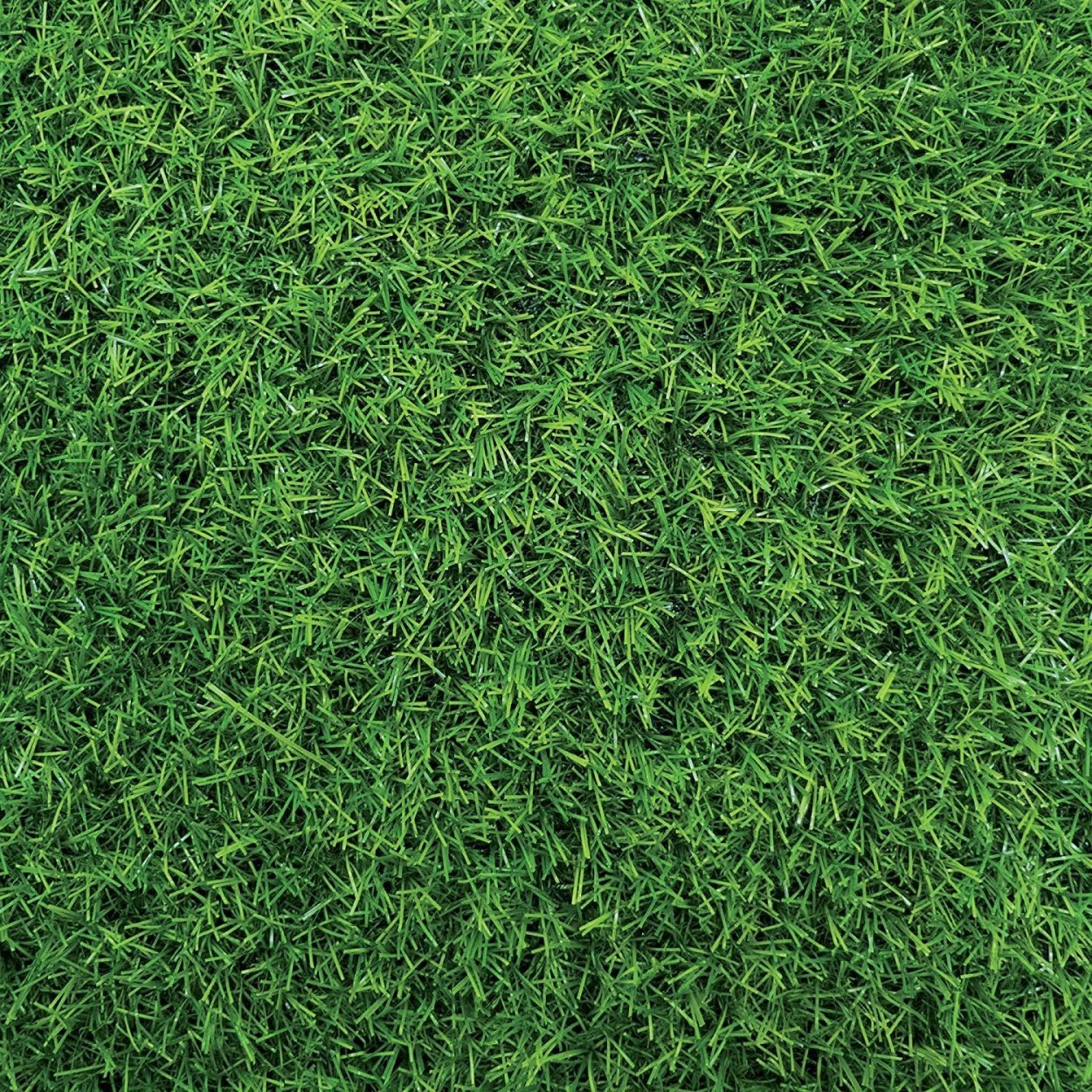 Газон текстура бесшовная