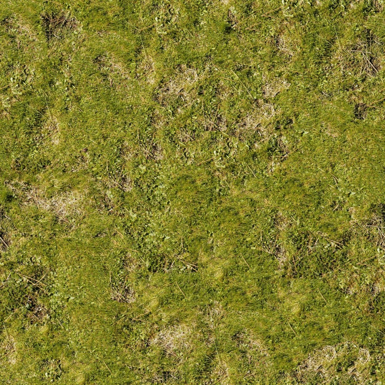 Текстура земли с желтой травой