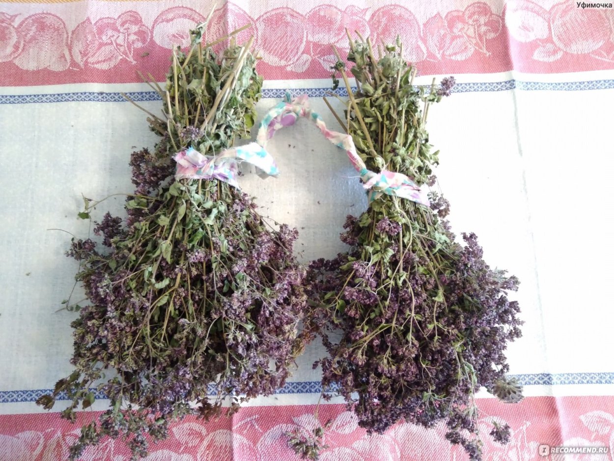Травяной чай упаковка
