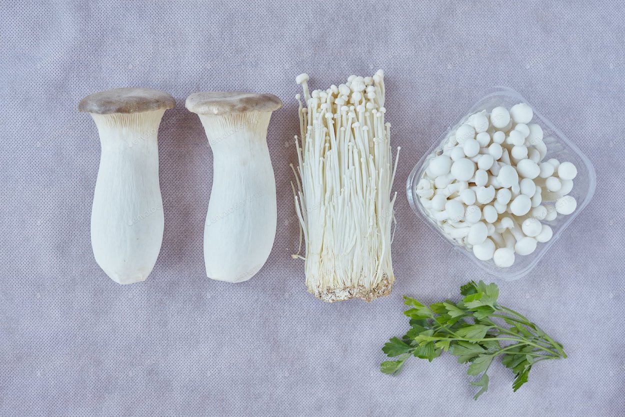 Артикул Barchan Mushroom >>>